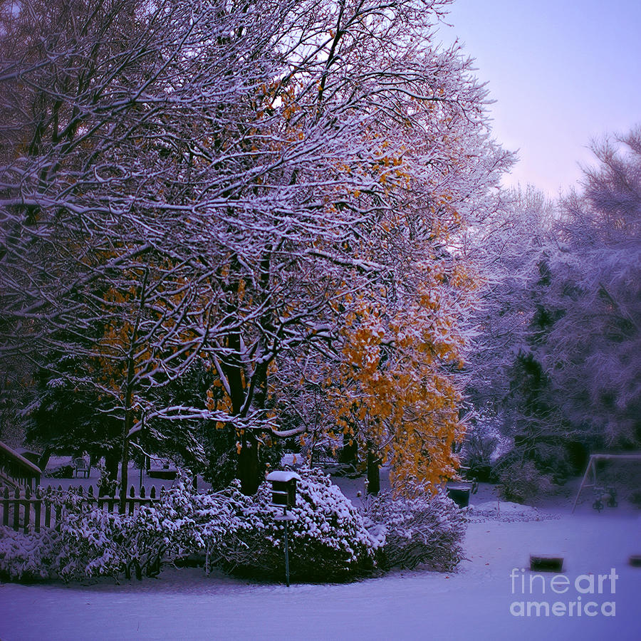 First Snow After Autumn - Square Photograph