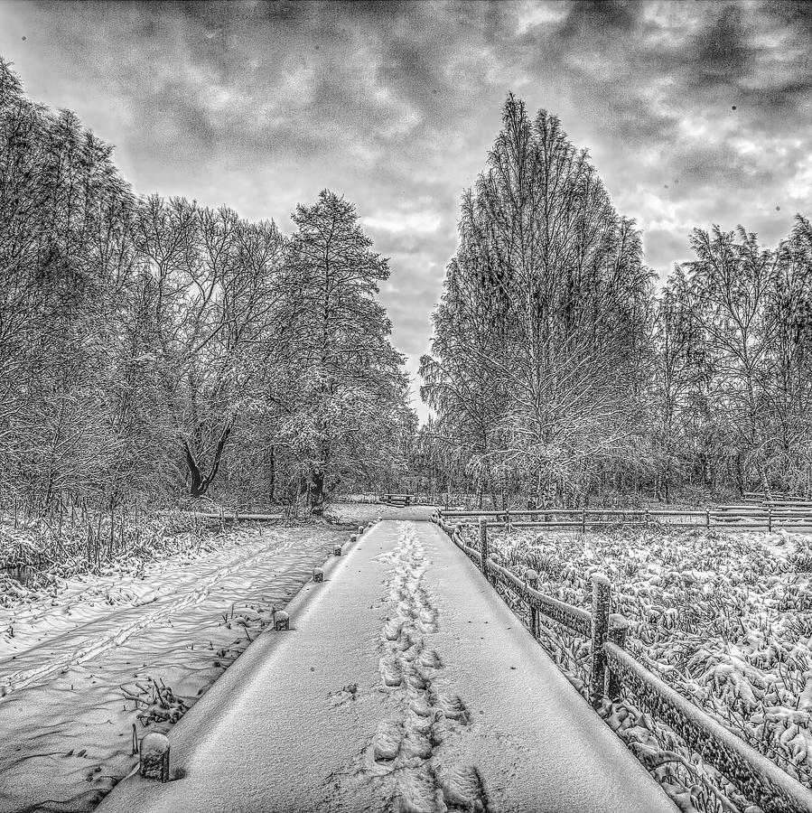 first snow BW Photograph by Leif Sohlman