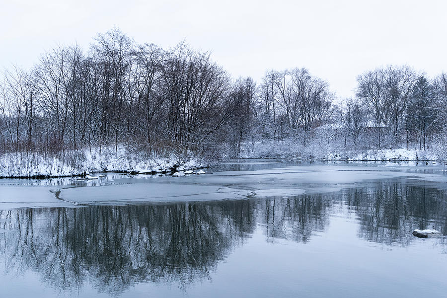 First Snow - Cold but Naturally Calming Wintry Vista Photograph by Georgia Mizuleva