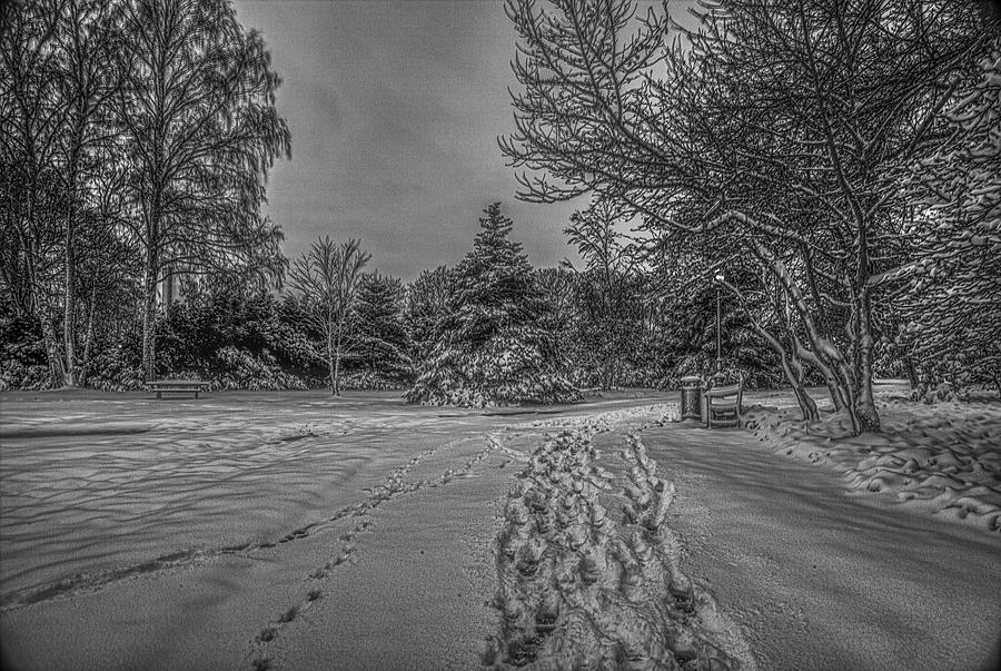 first snow morning BW #j3 Photograph by Leif Sohlman