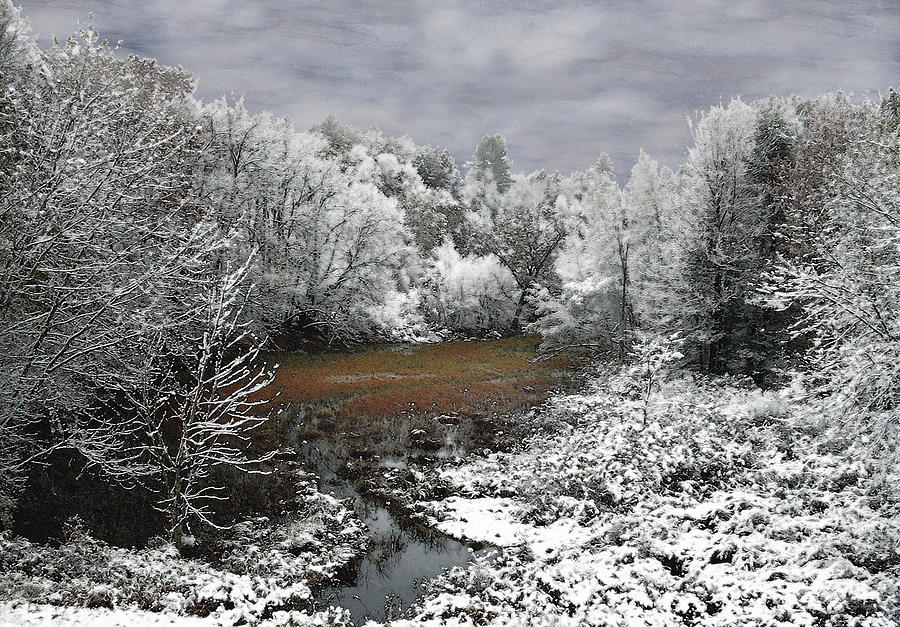 First Snow on an Oxbow Photograph by Wayne King