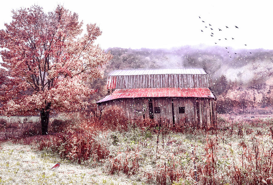 First Snowfall Mountain MIsts Photograph by Debra and Dave Vanderlaan