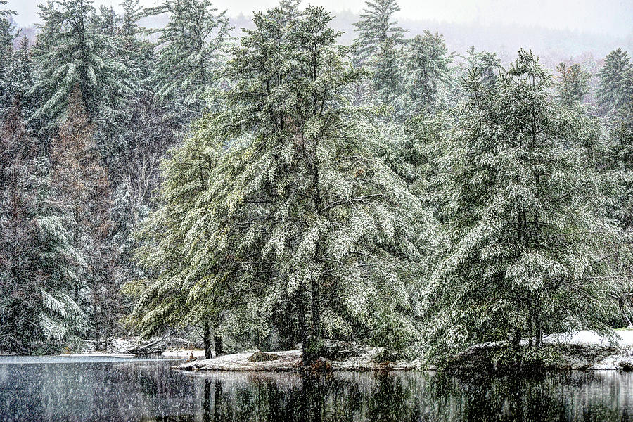 First Snowfall on Orris Road Pond Photograph by Wayne King