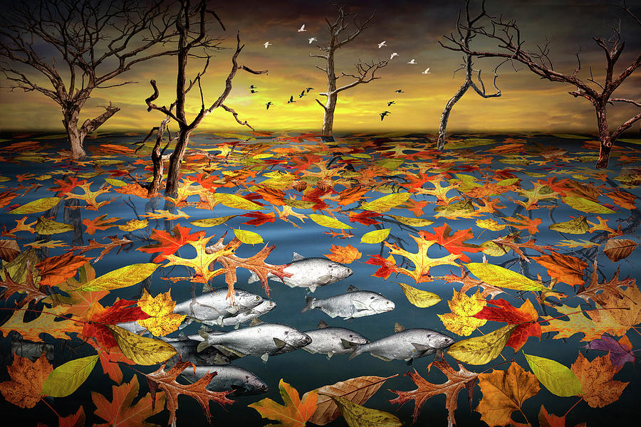 Fish and Autumn Leaves Sunset Landscape Photograph by Randall Nyhof
