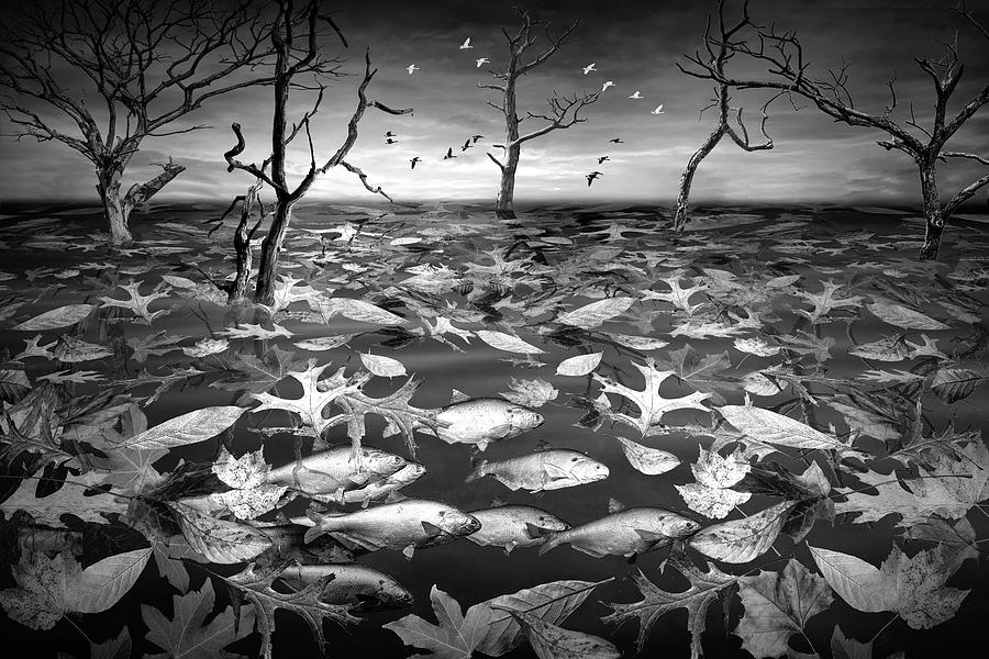 Fish and Autumn Leaves Sunset Landscape wth tree trunks in Black Photograph by Randall Nyhof
