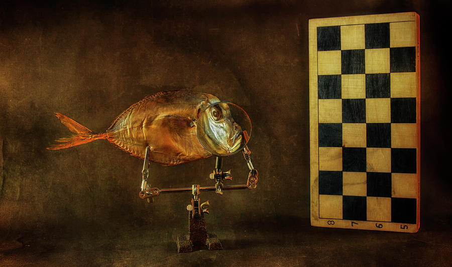 Fish and chess Photograph by Valentin Ivantsov Fine Art America