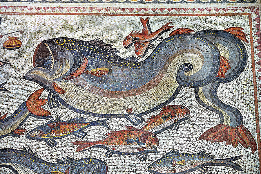 Fish and marine life from the 3rd century Roman mosaic - Lod Mosaic Centre  Israel Photograph by Paul E Williams