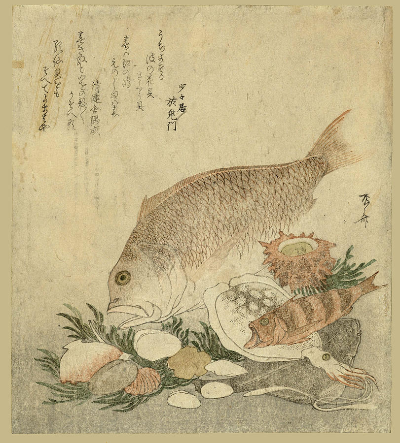 Ryuryukyo Shinsai Drawing - Fish and shells by Ryuryukyo Shinsai