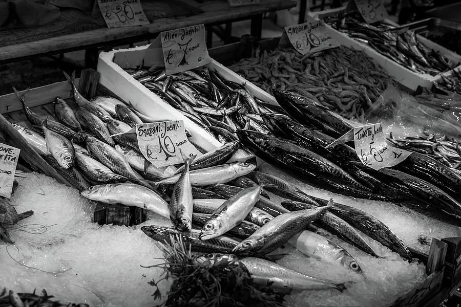 Fish at Ballaro Market in Palermo Photograph by Georgia Clare