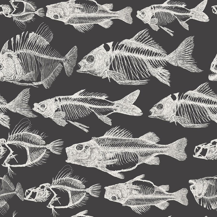 Fish Bone Repeat Pattern Drawing by MattGrove