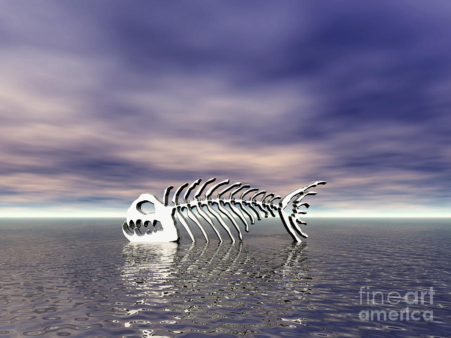 Fish Bones Digital Art by Phil Perkins