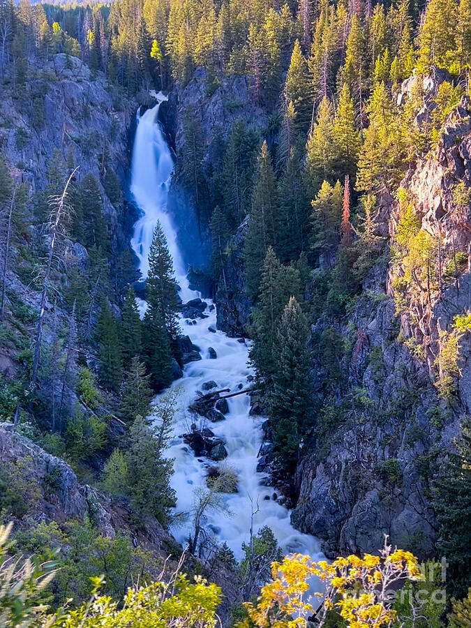 Nature Photograph - Fish Creek Falls From Above by Saving Memories By Making Memories