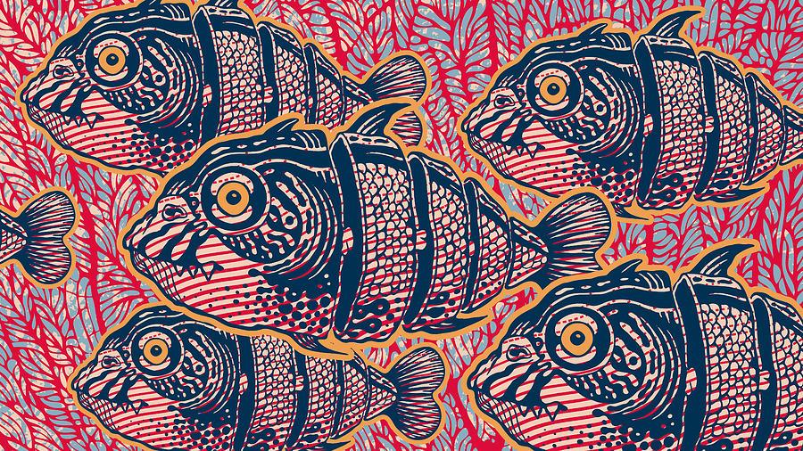 Fish Cut Into Slices Drawing by Jumpingsack | Fine Art America