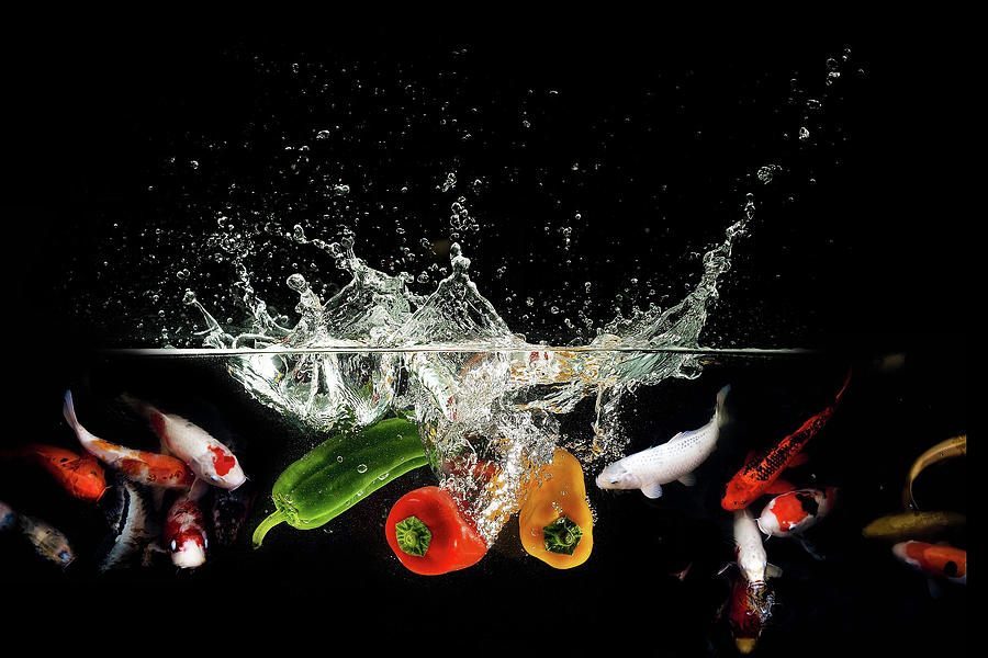 Fish Food Photograph by Susan Maxwell Schmidt