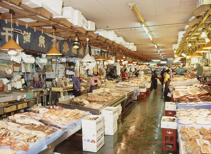 Fish market, Kushiro, Hokkaido, Japan Photograph by MIXA Co. Ltd.