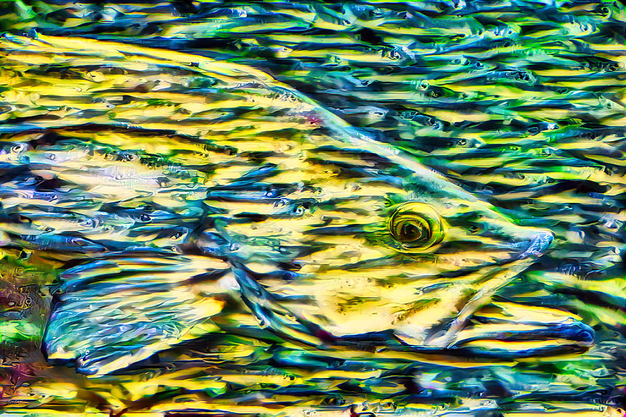 Fish of Fish Digital Art by Bruce Block