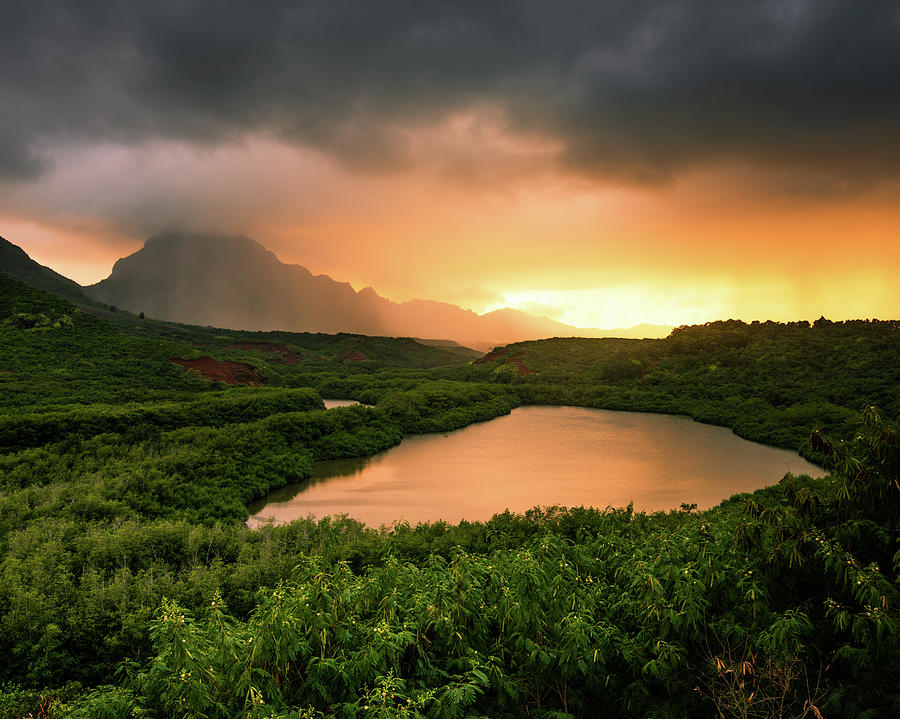 Fish Pond Sunset Photograph By Jamie Verdun