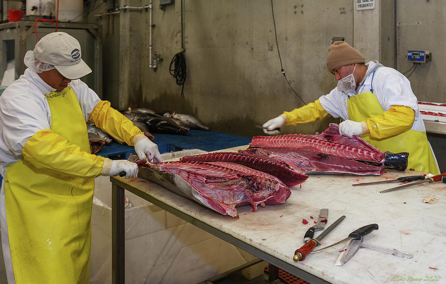 Fish Processing 20 Photograph by Mike Penney Fine Art America