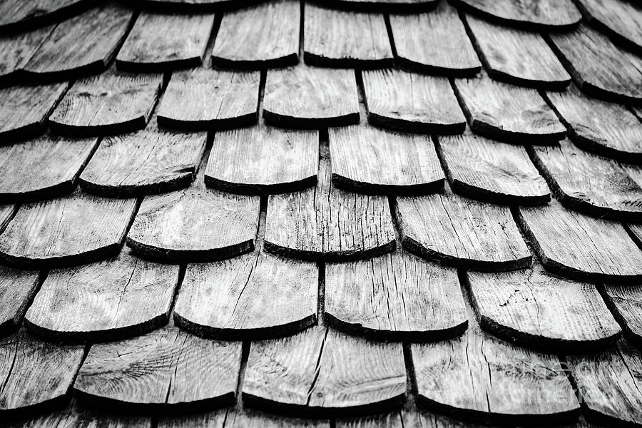 Fish Scale Roof bw Photograph by Eddie Barron
