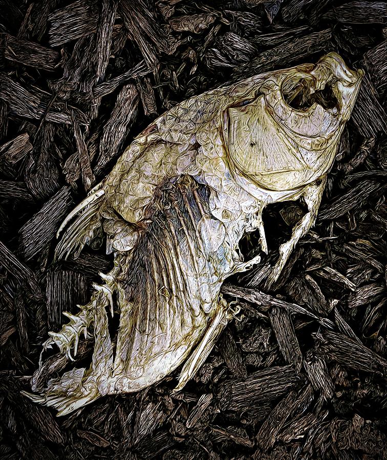 Fish Skeleton Digital Art Digital Art by Karen McGillis - Pixels