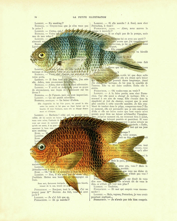 Fish Digital Art - Fish species in color by Madame Memento