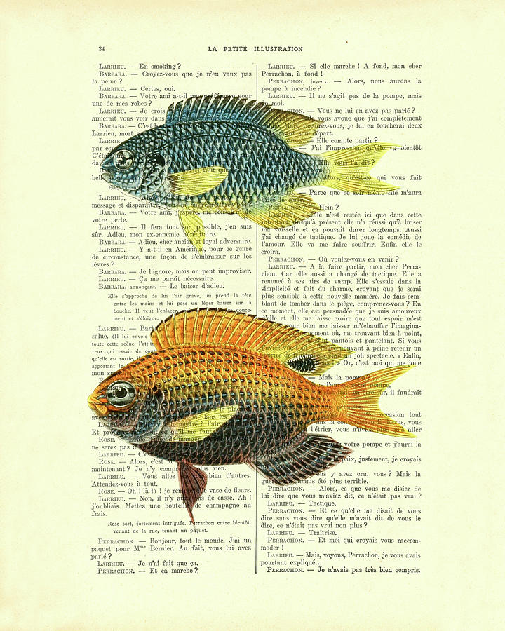 Fish Mixed Media - Fish species by Madame Memento