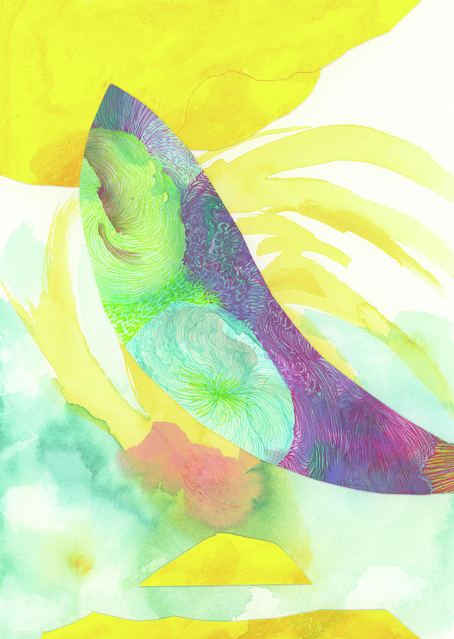 Fish - #SS22DW004 Drawing by Satomi Sugimoto