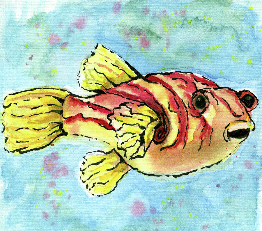 Fish Study 1 Mixed Media by Christina Kabat - Fine Art America