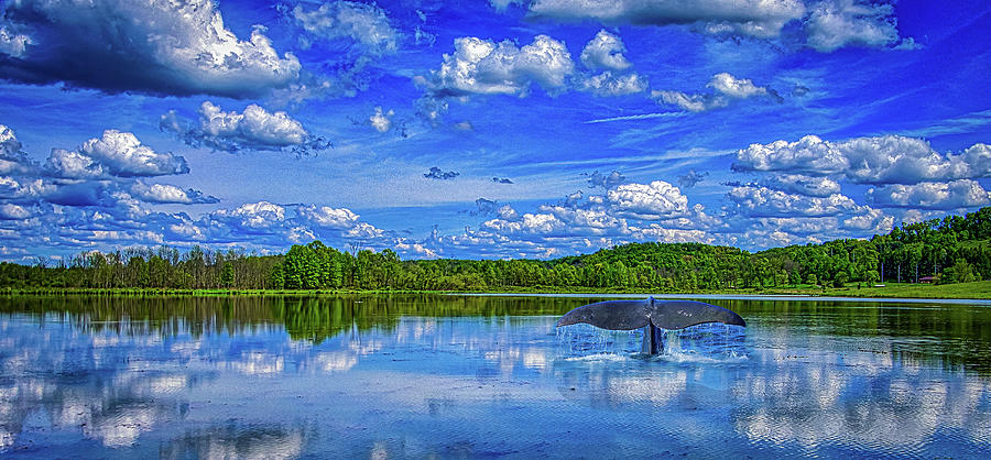Fish Tail Lake Photograph by Jonny D