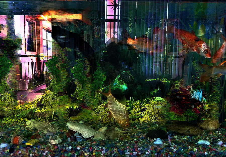 Fish Tank 1 Digital Art by Aldane Wynter
