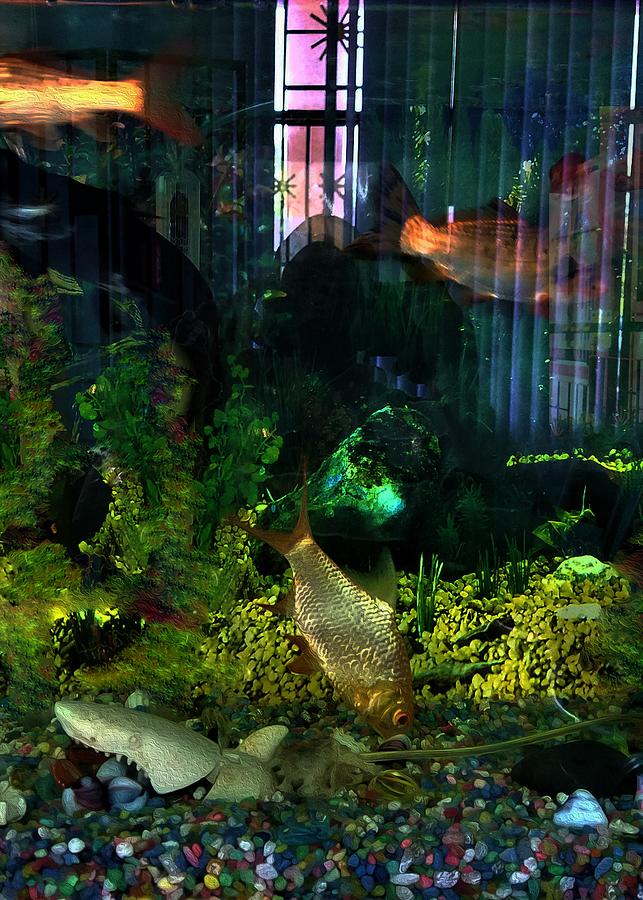Fish Tank 4 Digital Art by Aldane Wynter