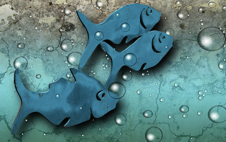 Fish Wall Digital Art by Terry Cork