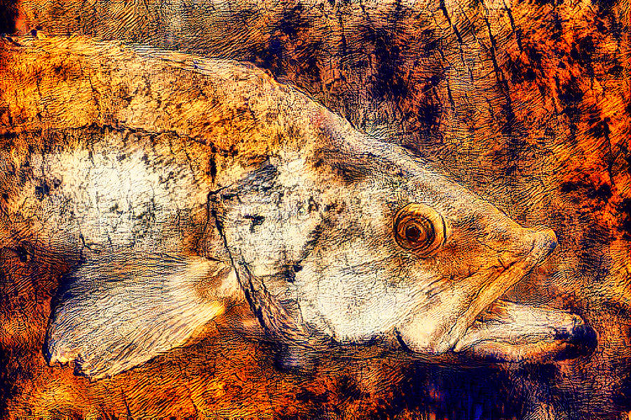 Fish - Wood Grain Photograph by Bruce Block