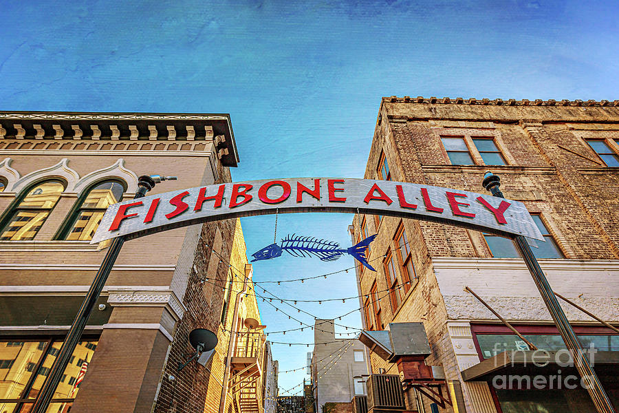 Fishbone Alley Sign Photograph by Joan McCool