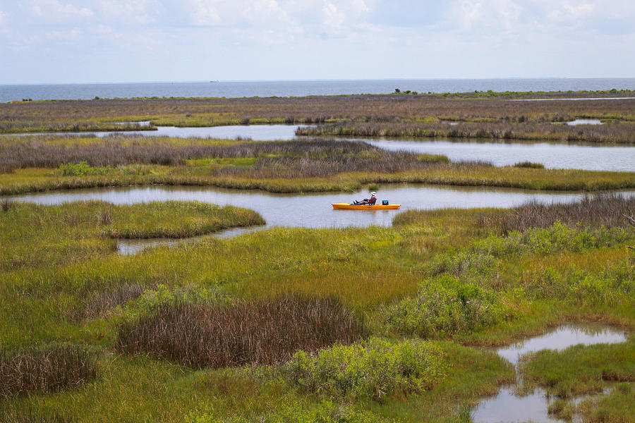 Fisherman Island Photograph By Latosha Pugh - Fine Art America