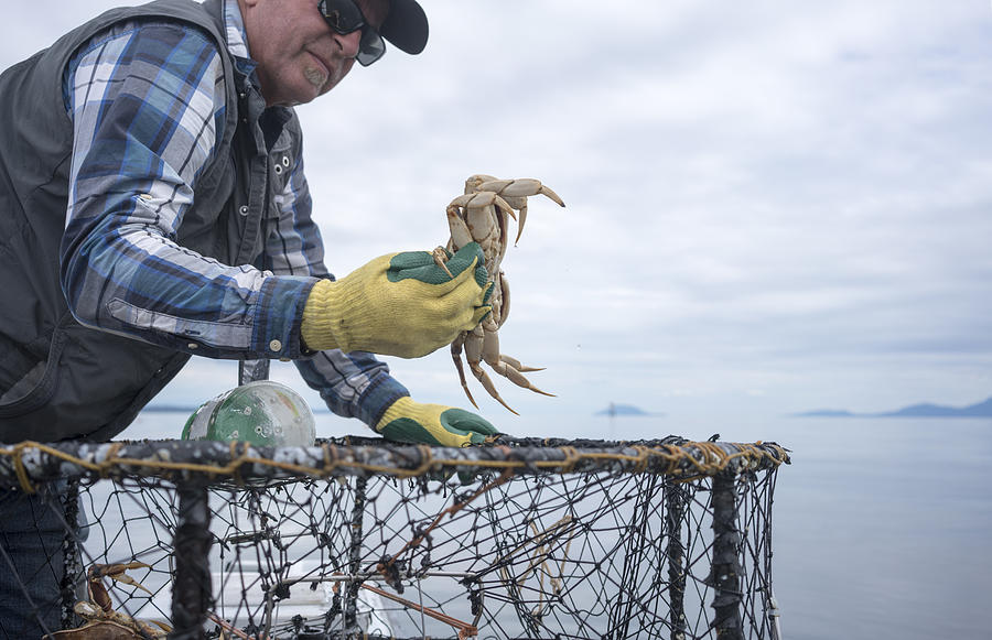 Fisherman throwing a crab back into the water Photograph by ChristiLaLiberte