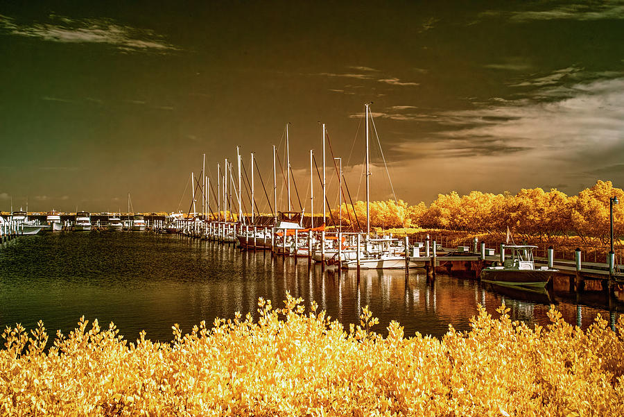 Fishermans Wharf in Infrared Photograph by Gordon Ripley