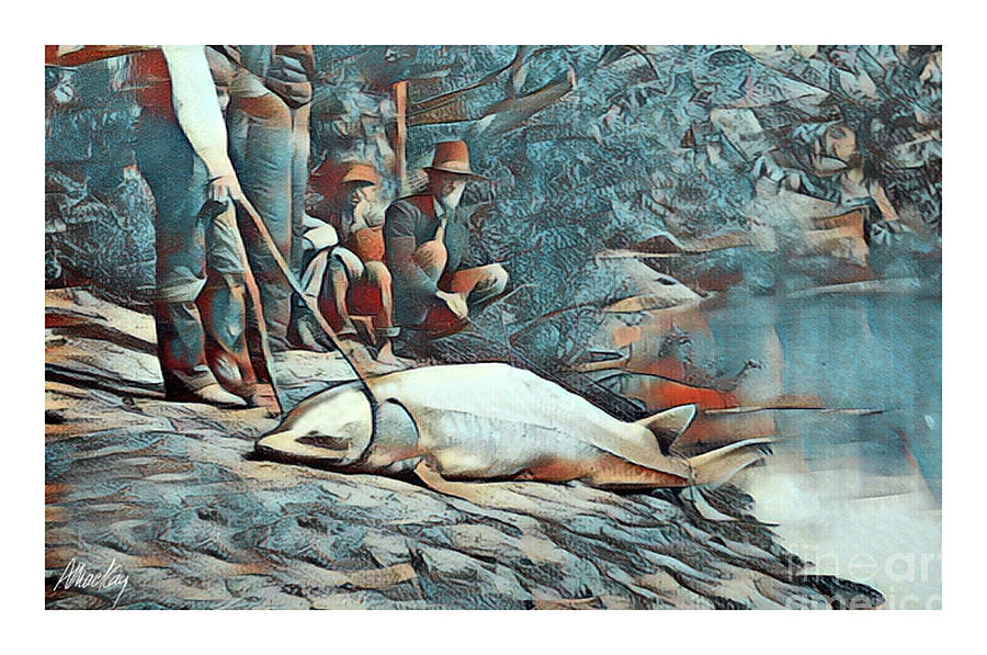 Fishermen land a sturgeon from the Kennebec River near Augusta, Maine Digital Art by Art MacKay