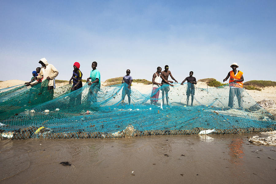 Fishermen pulling the net at the beach. Photograph by Peeterv