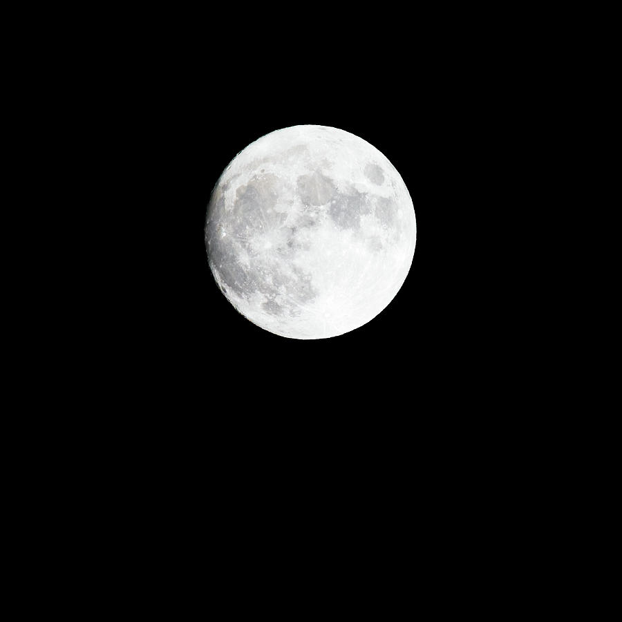 Fishers Moon Photograph by Rachel Morrison