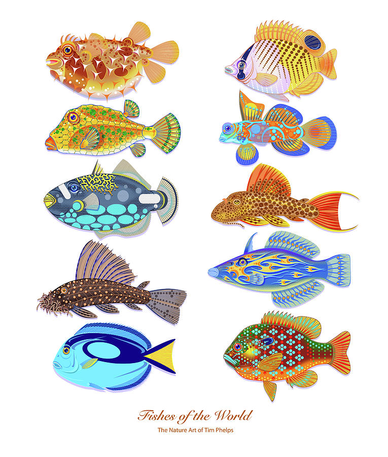 Fishes of the World Digital Art by Tim Phelps