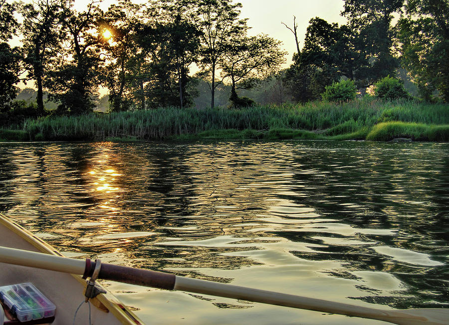 Fishing at sunset Photograph by Cordia Murphy