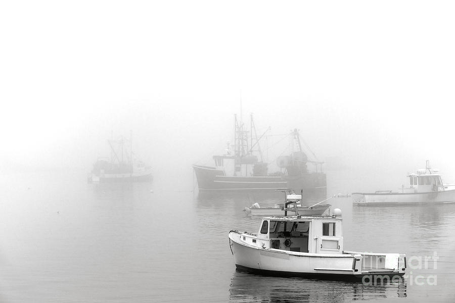 Fishing Boat in Thick Maine Coast Fog Photograph by Olivier Le Queinec