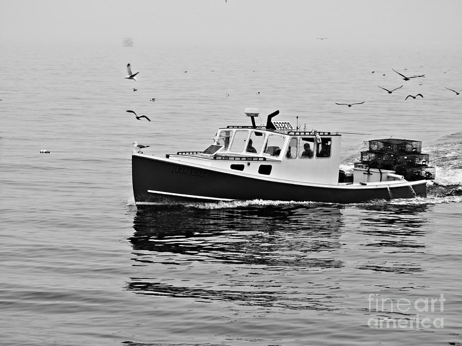 Fishing Boat Photograph by Marcia Lee Jones
