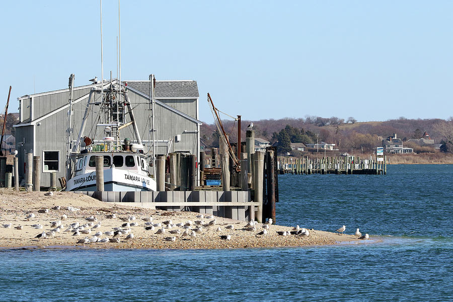 fishing-boat-montauk-new-york-photograph-by-bob-savage-fine-art-america