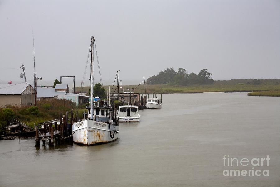 Fishing boats along the docks on Tilghman Island on the Chesapeake Bay in Maryland USA Photograph by William Kuta