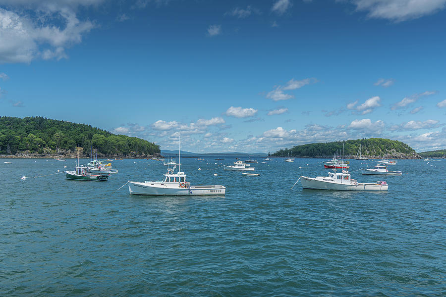 Fishing Boats at Bar Harbor Photograph by Anthony George Visuals - Fine