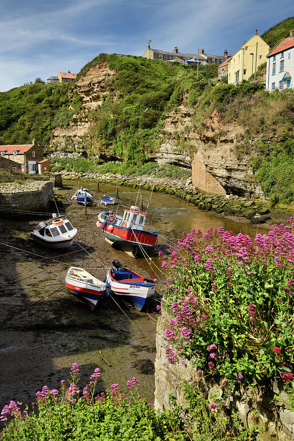 Fishing boats at low tide on Staithes Beck with Jurassic strata ...