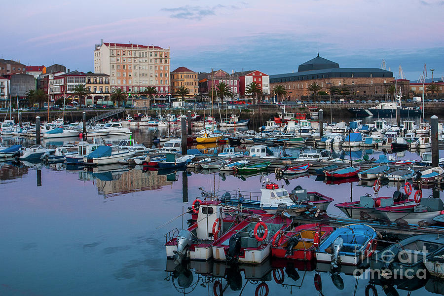 Fishing Boats at the Port of Ferrol Galicia Photograph by Pablo Avanzini