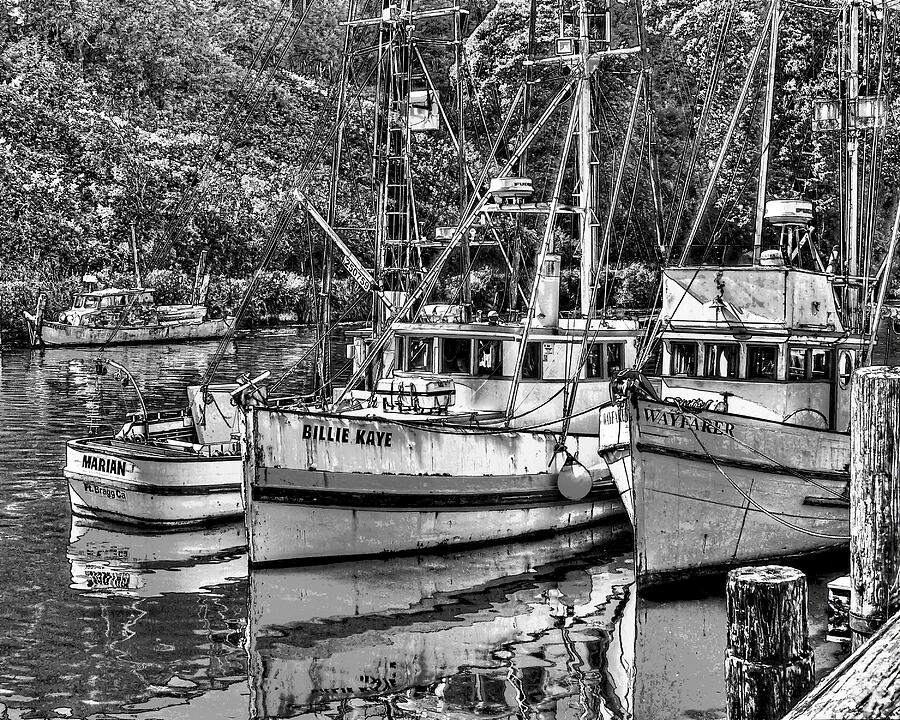 Fishing Boats in Fort Bragg Photograph by William Havle